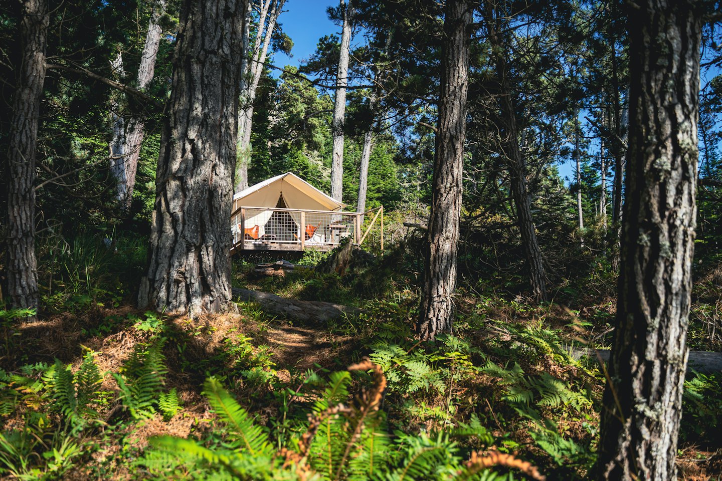 Tenda da glamping con sedie arancioni su una collina soleggiata nel bosco.