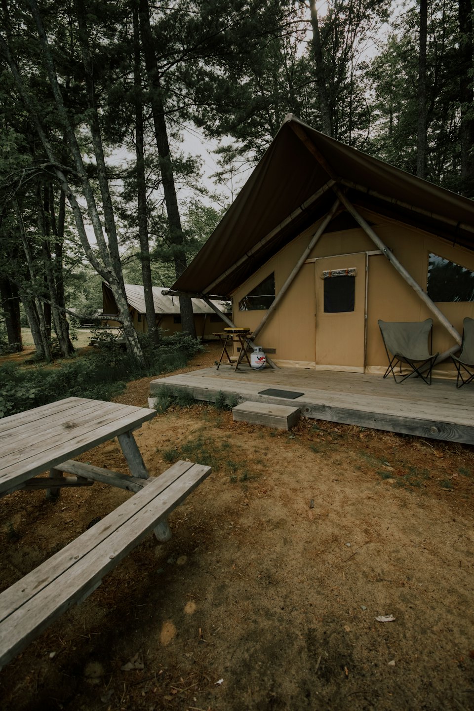 Tenda glamping in tela su un ponte di legno nel bosco.